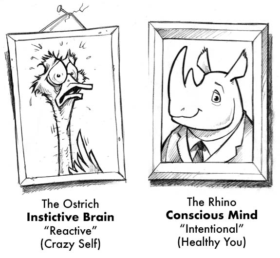 ostrich-vs-rhino